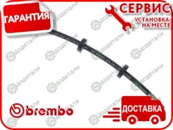 ����� ���������, ��������/������ �����/������ � ��������� � ��������� [T86001] T86001 ����