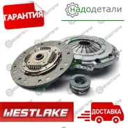 �������� ��������� � ��������� � ��������� [WNS037M1] WNS037M1 ����