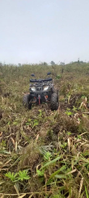 Yamaha Grizzly 300. ��� ���\��� ����