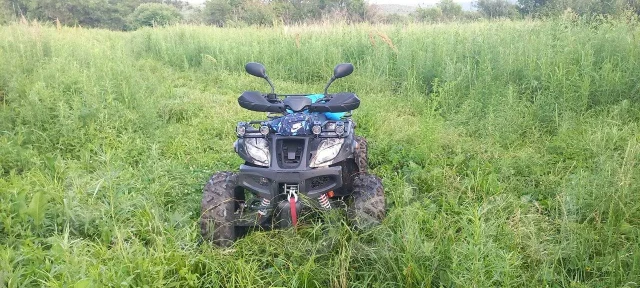 Yamaha Grizzly 300. ��� ���\��� ����