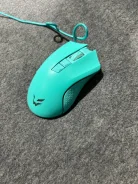 ���� �������. ����