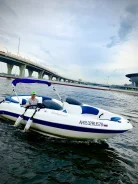BRP Sea-Doo Challenger. 2002 ���, ����� 6��., ��������� ������������, 240��.�., ������ ����