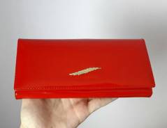 ��������. ����