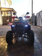 Yamaha Grizzly. ��������, ��, �� ����