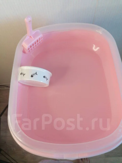 Продам лоток для кошек, в наличии. Цена: 300₽ во Владивостоке