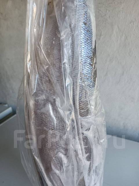 Кета, в наличии. Цена: 300₽ во Владивостоке