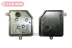 ������ ���� � ��������� ���������� ������� COB-WEB 112710 (SF271/072710) Cob-Web 112710 112710 ����