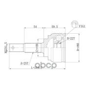   Double Force Double Force DFCV081 DFCV081 