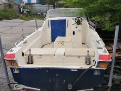 Yamaha Fish 17 ����