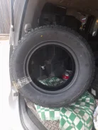 Streamstone. ������, ��� ����, 2022 ���, ����� ����