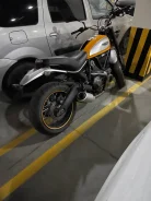 Ducati Scrambler. 803����. ��., ��������, ���������, ��� ������� ����
