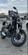 Regulmoto Alien Monster 300. 300����. ��., ��������, ���������, ������ �� �� ����
