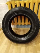 Cordiant Winter Drive. ������, ����������, 2019 ���, �/�, ����� 60 % ����