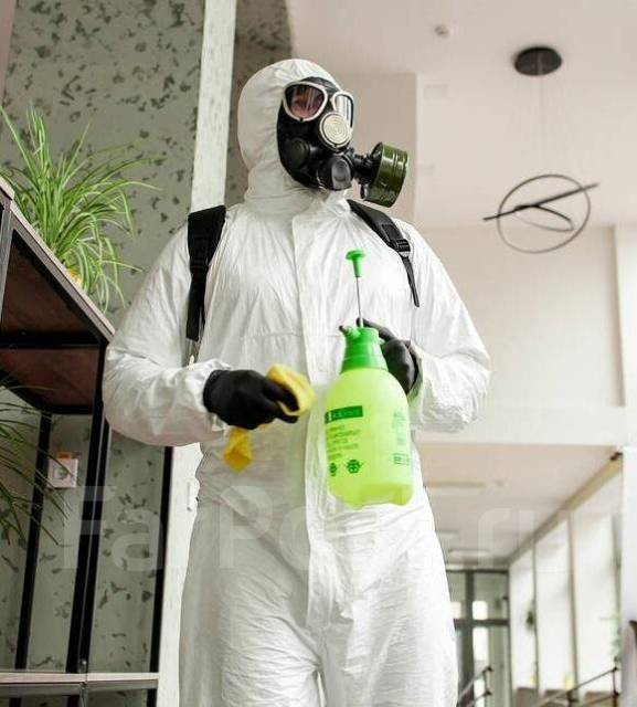 Дезинсекция, Уничтожение насекомых Тараканов, Клопов, Крыс, Шершней во ...