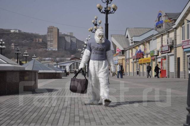 Курьер, работа в ООО "Альянс Фуд Групп" во Владивостоке — вакансии на ...