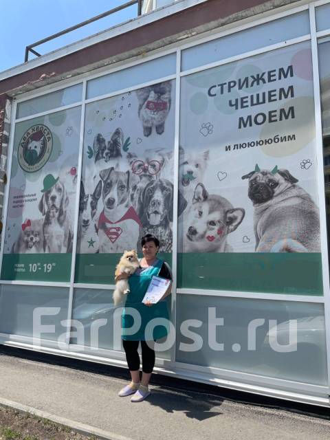 Курсы груминга. Индивидуальное обучение. Груминг с 0! Рассрочка в Артеме