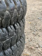 Dunlop Power Grip. ������, 2004 ���, �/�, ����� 60 %. ��� ����� �� ����������� ����