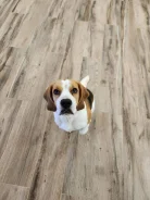 �����. ����