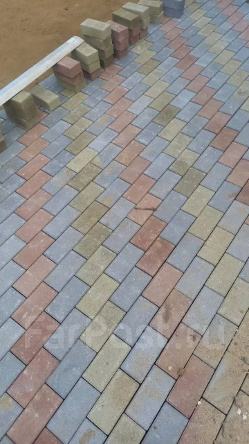 ���������. ����