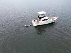 Luhrs. 1999 ���, ����� 12,5��., ��������� ������������, 600��.�., ������ ����