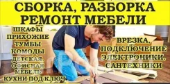 ������, �������� ������. ����