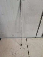 �����. ����