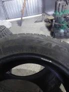 Bridgestone Blizzak DM-Z2. ������, ��� �����, 2021 ���, �/�, ����� �� 5 % ����