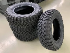 Ginell GN3000. ����� mt, �����. �������� ������� ����