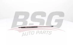 �����. ������ � ���� bsg15980004 BSG BSG15980004 ����