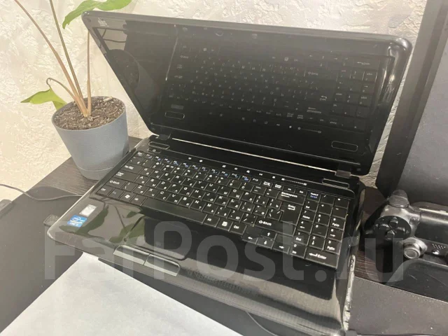 DNS. 15.6", 2,2����, ��� 4 ��, ���� 500���, WiFi: 1, Bluetooth: 1 ����
