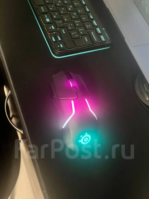 DNS. 15.6", 2,2����, ��� 4 ��, ���� 500���, WiFi: 1, Bluetooth: 1 ����
