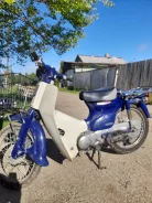 Honda Super Cub. 50����. ��., ��������, ��� ���, ��� ������� ����