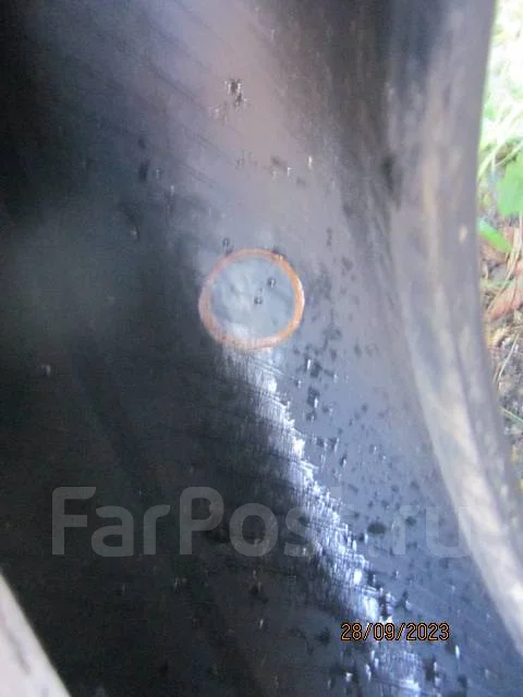 Bridgestone Blizzak PM-10. �����������, �/�, ����� 50 % ����
