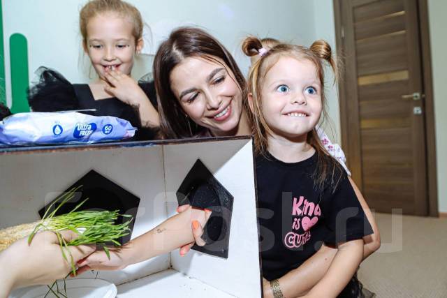 Помещение для детского праздника. Аренда зала. Roblox Неон Влад А4 ...