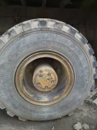 TyRex CRG VO-1260-1. ����� mt, �/�, ����� 10 % ����