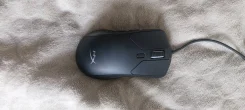 ���� ������������. ����