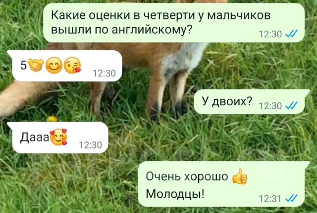���������� ����. ����