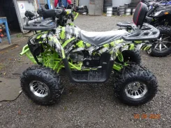 Yamaha Grizzly. ��������, ��� ���\���, ��� ������� ����