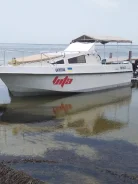�����. 2010 ���, ����� 8,2��., ��������� ���������, 150��.�., ������ ����