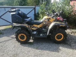 BRP Can-Am. ��������, ���� ���\���, � �������� ����