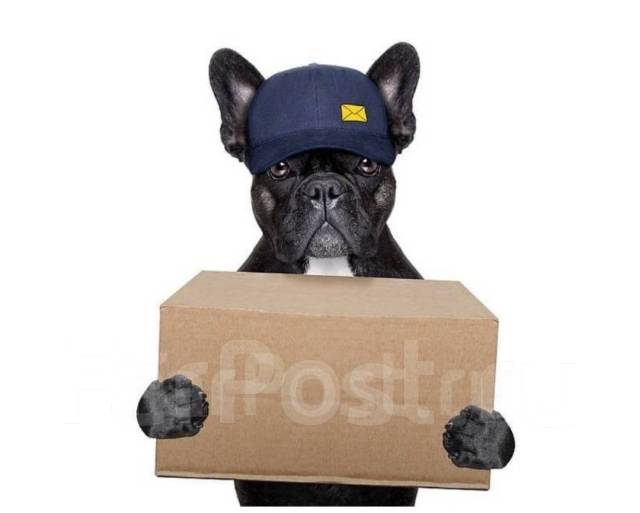 Курьер пеший или авто (СВОБОДНЫЙ ГРАФИК, ЕЖЕДНЕВНАЯ ОПЛАТА), работа в ...