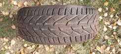 Tigar Ice. ������, ��� �����, 2021 ���, �/�, ����� 5 % ����