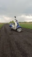 Honda Scoopy AF55. 49����. ��., ��������, ��� ���, ������ �� �� ����