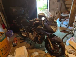 Suzuki GSF 1250SA Bandit. 1 254����. ��., ��������, ���������, ������ �� �� ����