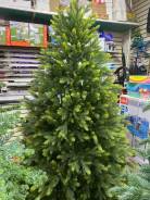 ���� �������������. ����