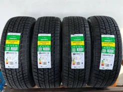 Kapsen IceMax RW501. ������, ��� �����, 2026 ���, ����� ����