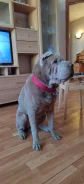 ������. ����
