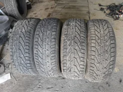 Tigar Ice. ������, ����������, 2020 ���, �/�, ����� 10 % ����