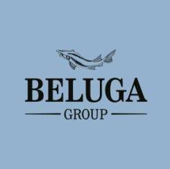 Координатор. Beluga Group. Проспект 100-летия Владивостока 155 кор. 1 фото