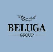 . Beluga Group.  100-  155 . 1 